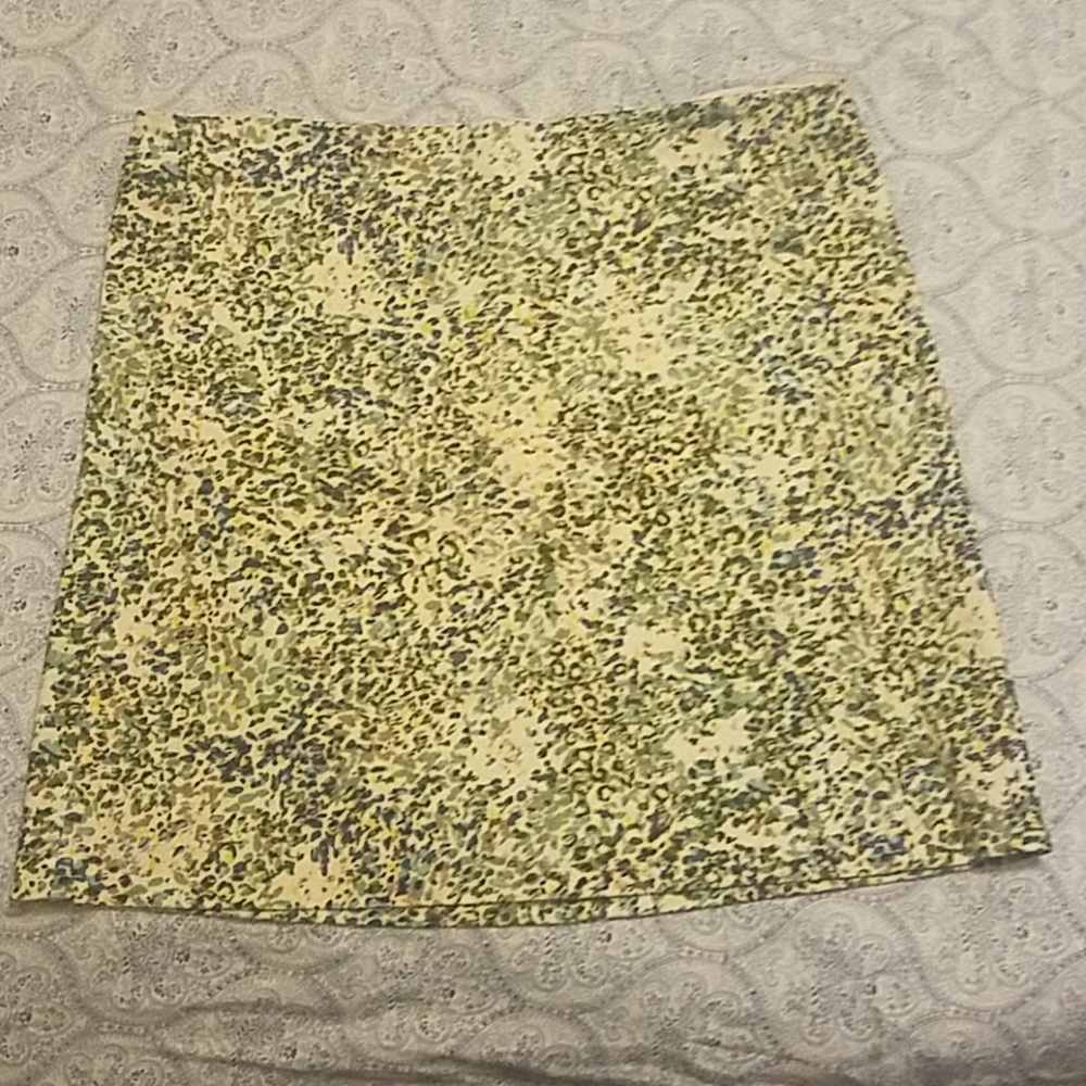 J.Crew Skirt